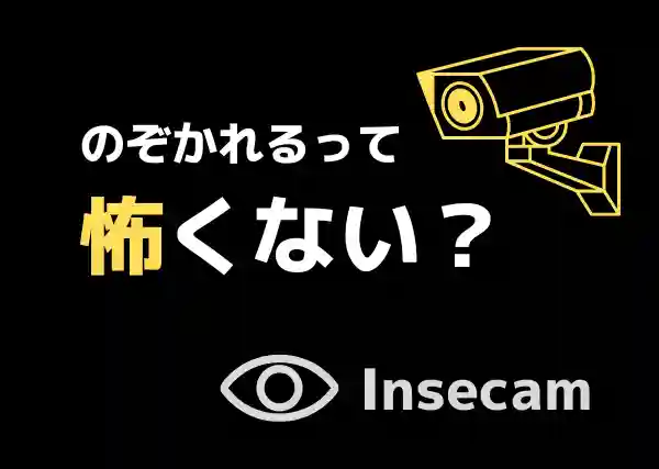 Insecamとは何か？監視カメラの覗き見は防止出来るの？