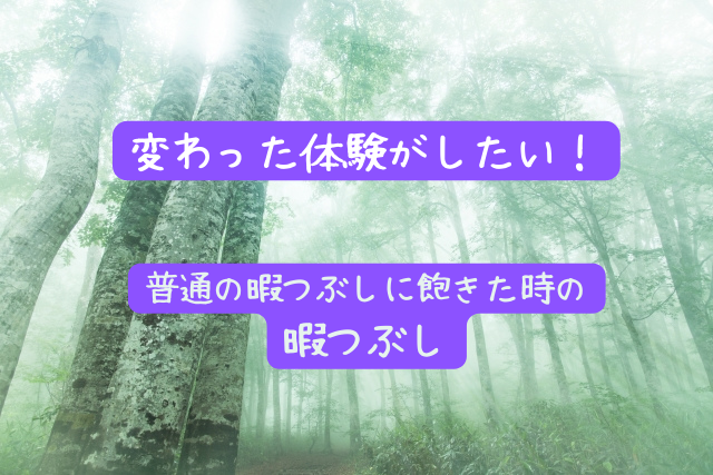 1人で暇な時にすること 22年 家 外での暇つぶし65選 人生は暇つぶし らしい By Himatubushi Zu