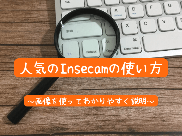 人気のInsecamの使い方｜日本中の監視カメラを覗き見